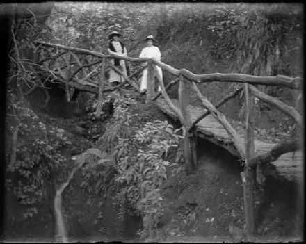 Friends of the Berry Family - Resource cover image