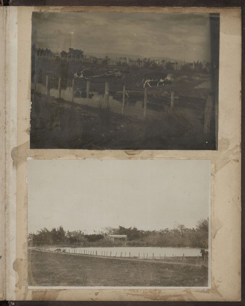 2020P_Monrad-S5V5_032987_027