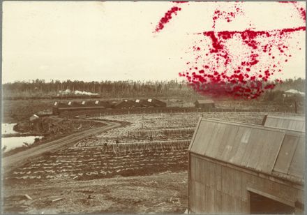 Miranui Flaxmill, Shannon - Resource cover image