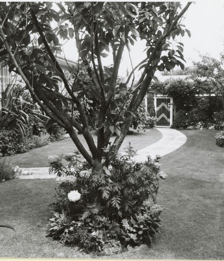 Garden at 65 Ruamahanga Crescent