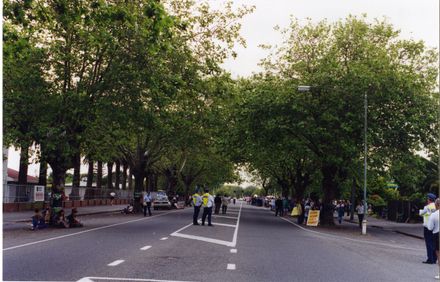 Avenue Action - Fitzherbert Avenue