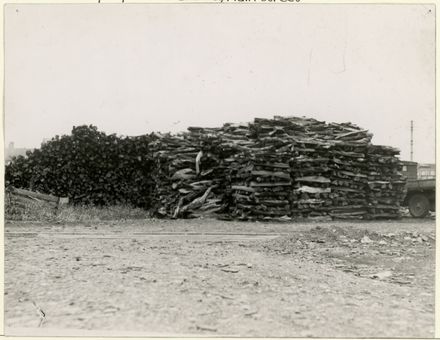 Timber Yard, S. Rush and Company, Main Street - Resource cover image