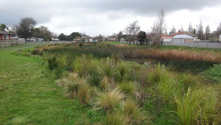 Wetlands at Norton Park