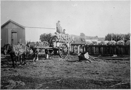 Cart load of washed fibre at a Bock and Coley Mill, Foxton