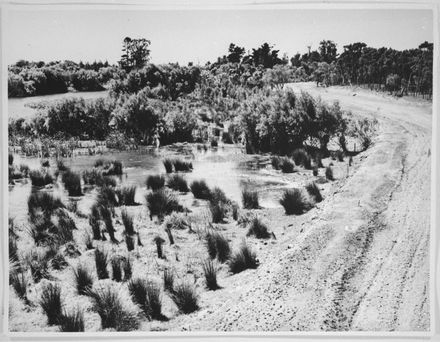 Construction of Centennial Drive Alongside Hokowhitu Lagoon