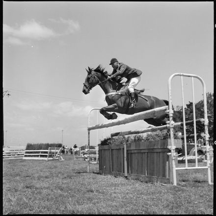 2018N_2017-20_MS000947b - Skilful Showjumping