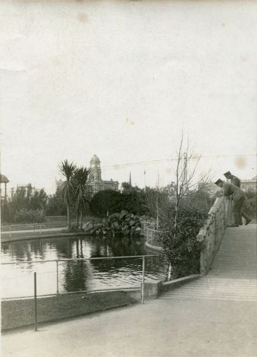 The Lakelet bridge - Resource cover image