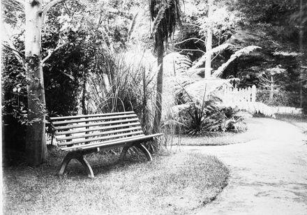 The garden at "The Wattles", College Street