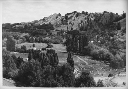 Upper Pohangina Valley