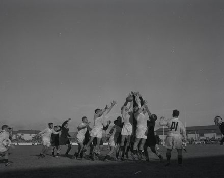 Rugby Game at Palmerston North Showgrounds