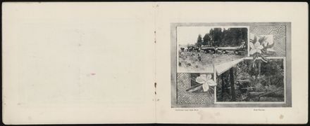 Bennett & Co's Souvenir Views of Palmerston North 8