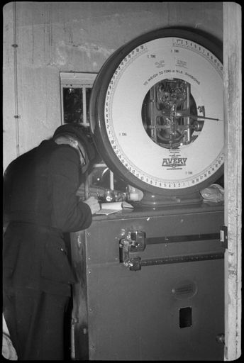 The Transport Department