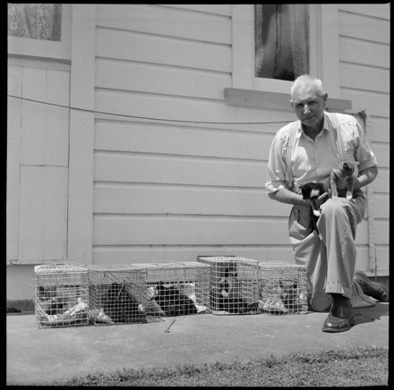 "Homes Found For Kittens" - Resource cover image