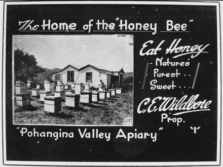 Mr Charles E Wildbore's Apiary at Pohangina