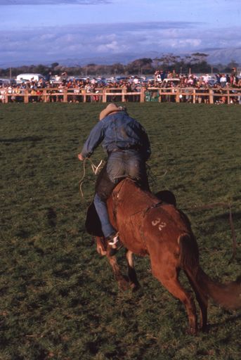 Linton Rodeo