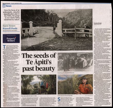 Back Issues: The seeds of Te  Āpiti's past beauty