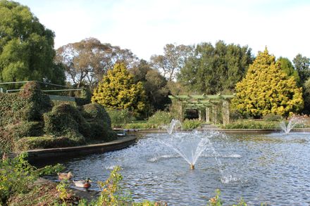 The Rose Garden in June