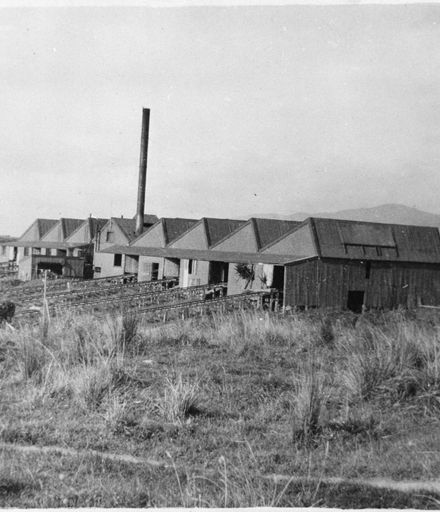 Miranui Flaxmill, near Shannon
