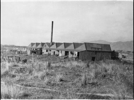 Miranui Flaxmill, near Shannon