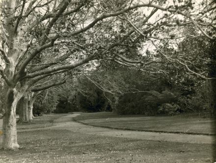 Victoria Esplanade Gardens, Fitzherbert Avenue