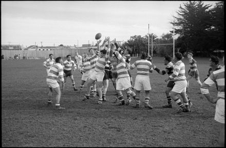 Focus on Sport: Rugby - Resource cover image