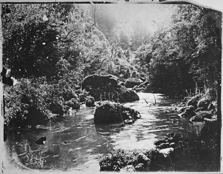 "Tiritea Stream"