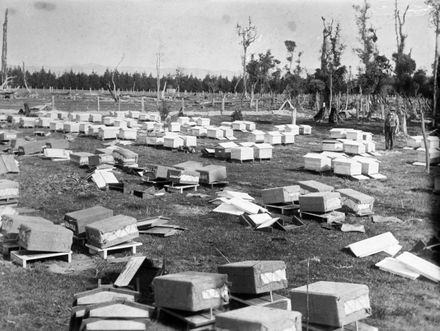 Unpacking the First Commercial Apiary in Kairanga