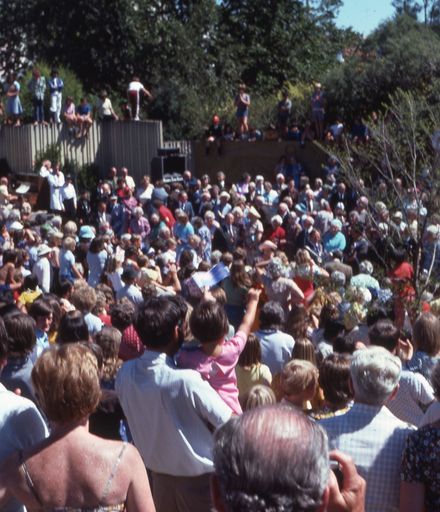 Crowds Gathered in the "Lion's Den" in the Square