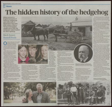 Back Issues:  The hidden history of the hedgehog