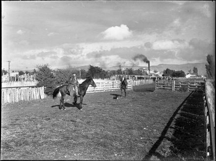 Stockmen, Longburn Freezing Works