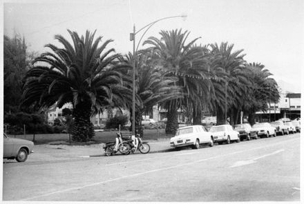 Phoenix Palms, The Square