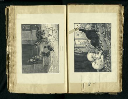 Louisa Snelson's Scrapbook - Page 142