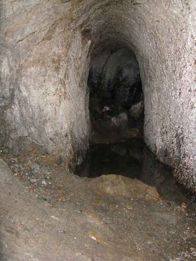 Mine entrance, Hardings Park