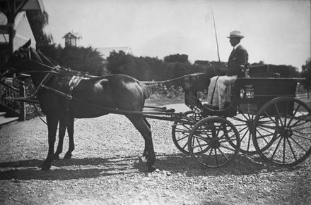 J H P Strang in his buggy at 'Woodhey', Te Awe Awe Street