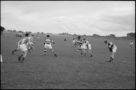 Focus on Sport: Rugby League