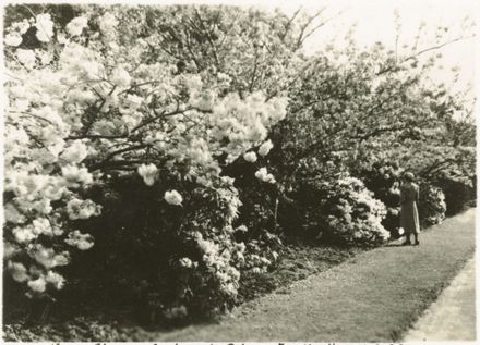 Victoria Esplanade Gardens, Palmerston North - Resource cover image