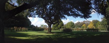 Victoria Esplanade Rose Gardens