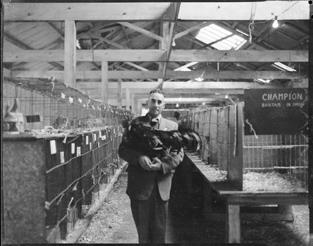 "Most Handsome Variety" - Poultry Show - Resource cover image