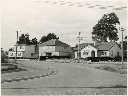 Houses on Jickell Street, Palmerston North