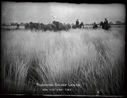 Ploughing Swamp Land with Horses