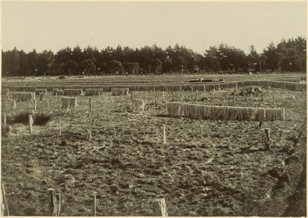Paddocks of Walter Bock's Mill, Foxton
