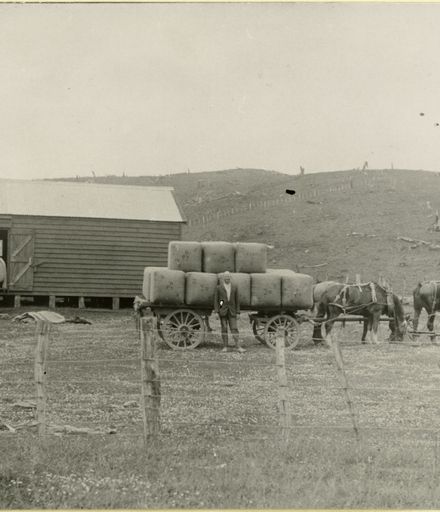 Baled hay outside Whittaker's wool shed