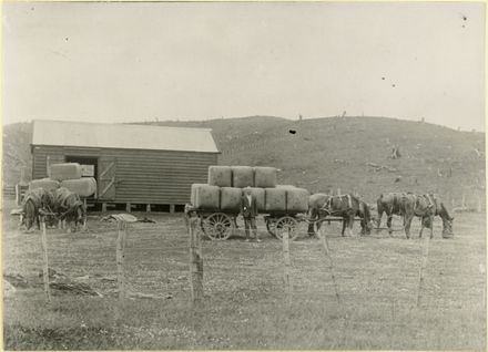 Baled hay outside Whittaker's wool shed