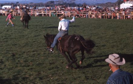 Linton Rodeo