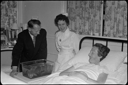 Palmerston North Patients [Mrs Loveridge]