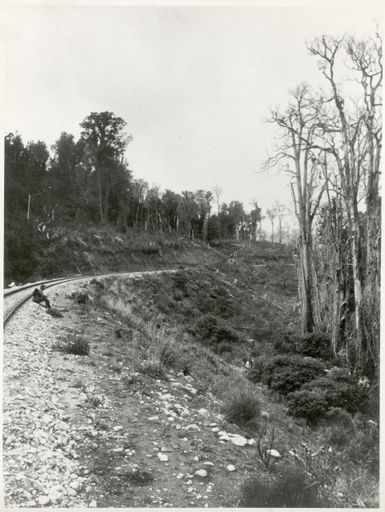 "Otaki Curves" Train Tracks