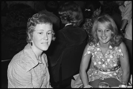 Unknown party attendees - Resource cover image