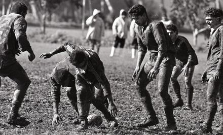 “Fresh fields after league mudbath” - Resource cover image