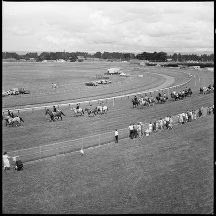 2018N_2017-20_MS000898b - [Feilding Show}