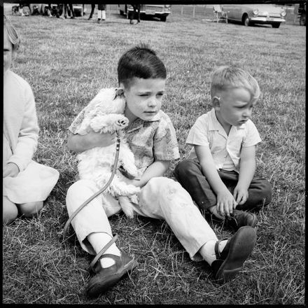 "Keen Interest by Children - and Dog"